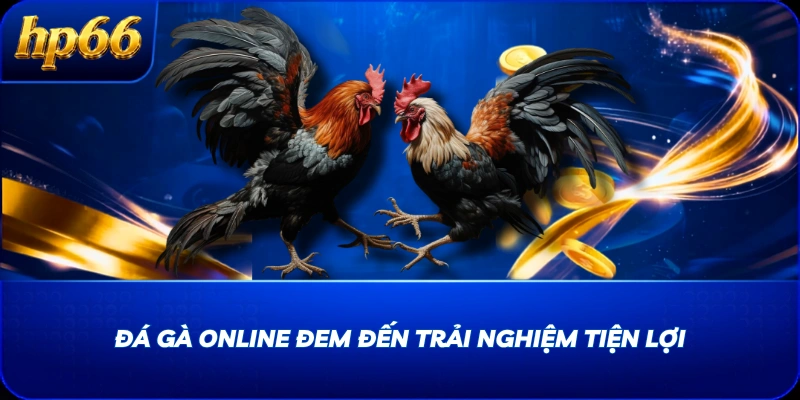 Đá gà online đem đến trải nghiệm tiện lợi