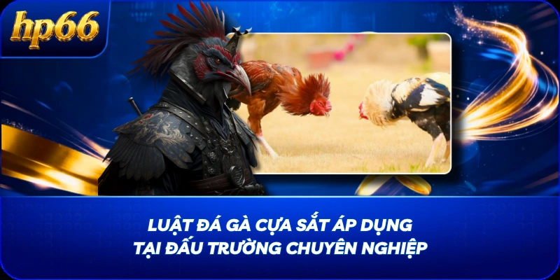 Luật Đá Gà Cựa Sắt Áp Dụng Tại Đấu Trường Chuyên Nghiệp