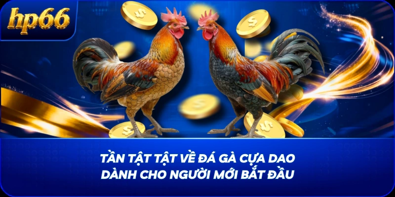 Tần Tật Tật Về Đá Gà Cựa Dao Dành Cho Người Mới Bắt Đầu
