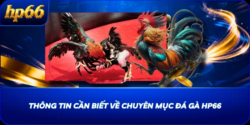 Thông tin cần biết về chuyên mục Đá Gà HP66